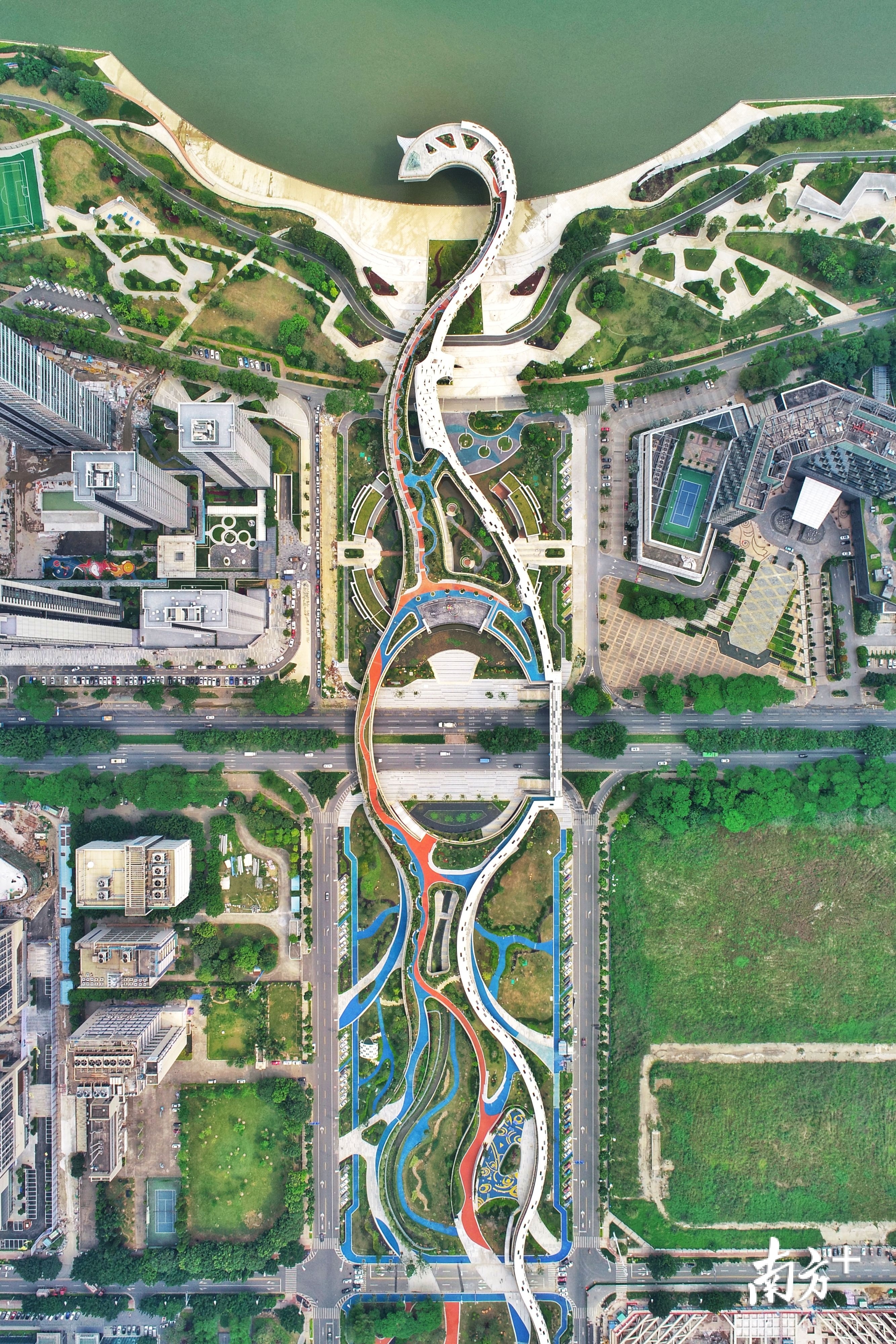 顺德中心城区。南方日报记者 戴嘉信 摄