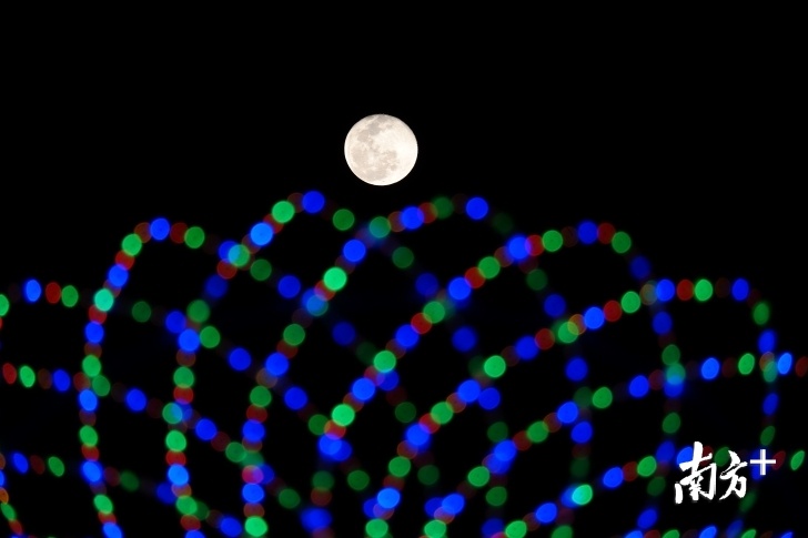 元旦期间，奇幻灯光秀、音乐喷泉表演再次成为亮点，吸引市民游客前往活动主会场——同心文化公园“打卡”。李东摄