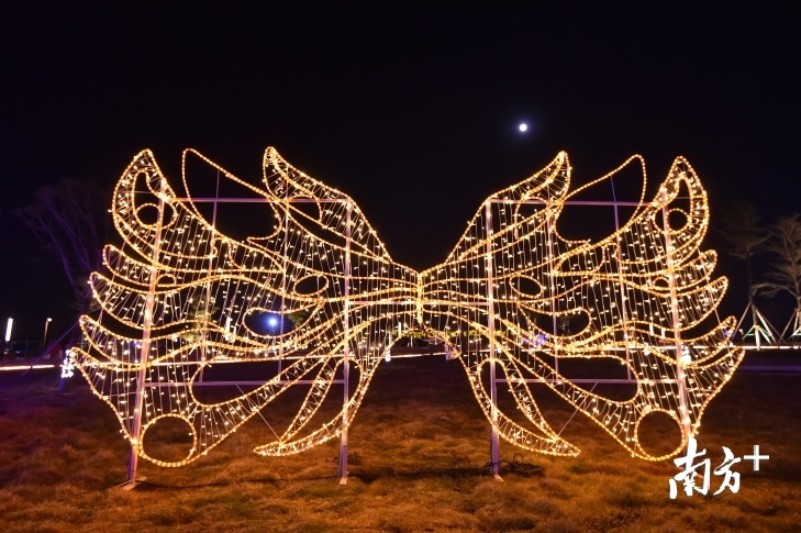 元旦期间，奇幻灯光秀、音乐喷泉表演再次成为亮点，吸引市民游客前往活动主会场——同心文化公园“打卡”。李东摄