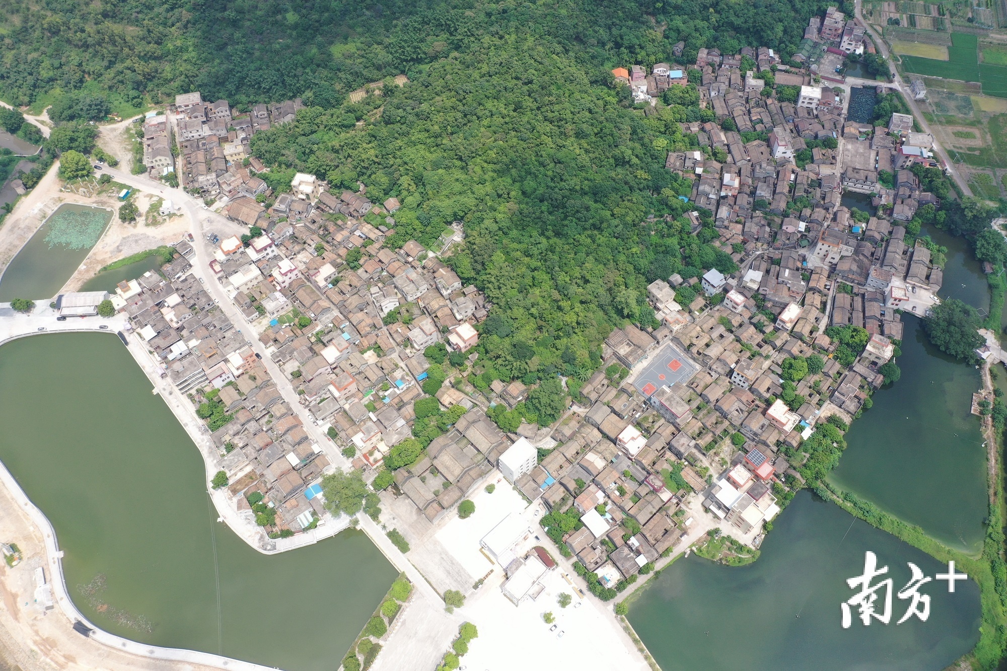 留住美丽乡愁的江门蓬江区良溪古村。杨兴乐 摄