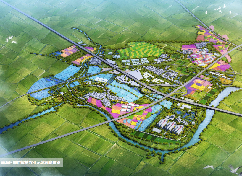 南海区都市智慧农业示范园鸟瞰图。