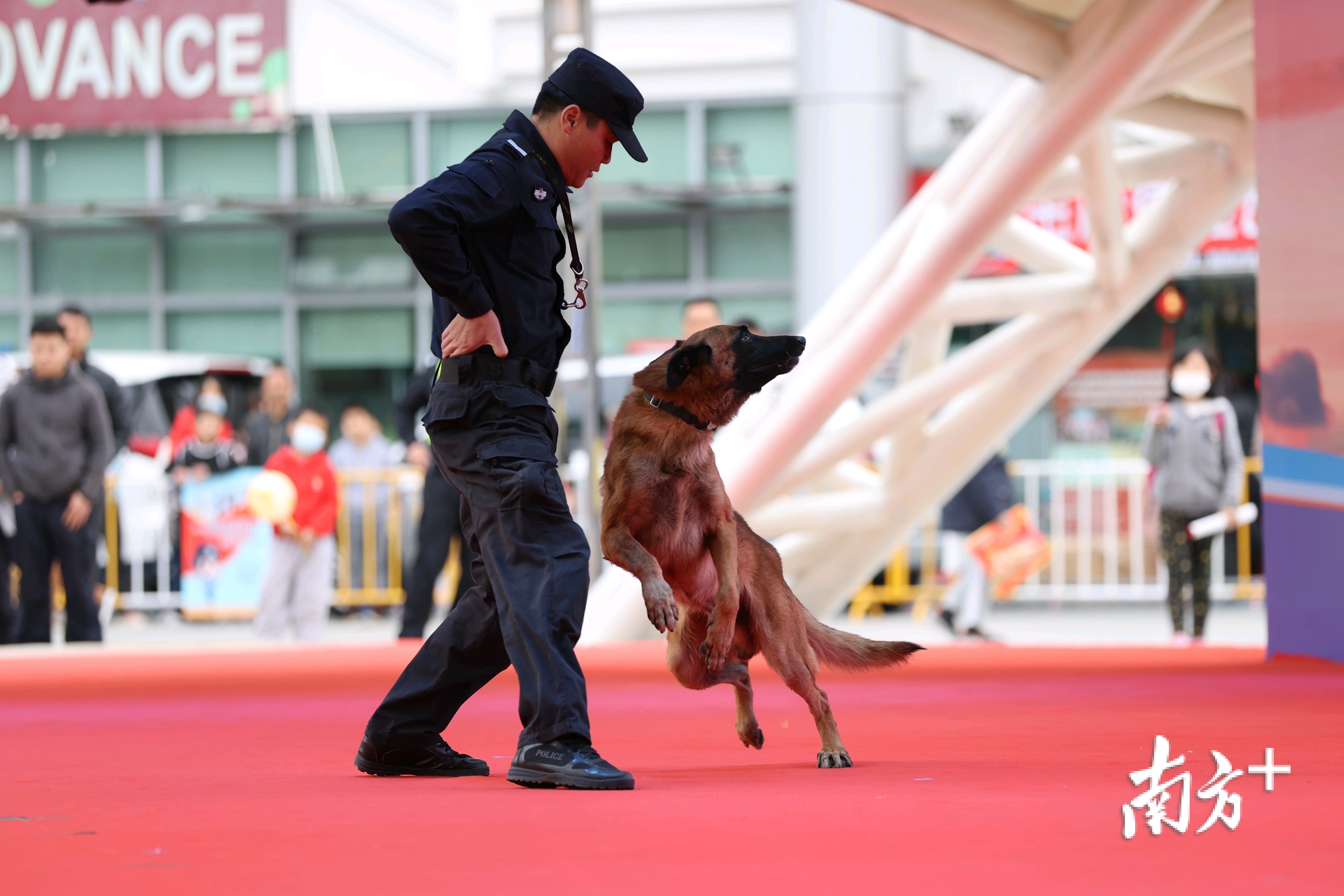 警犬表演