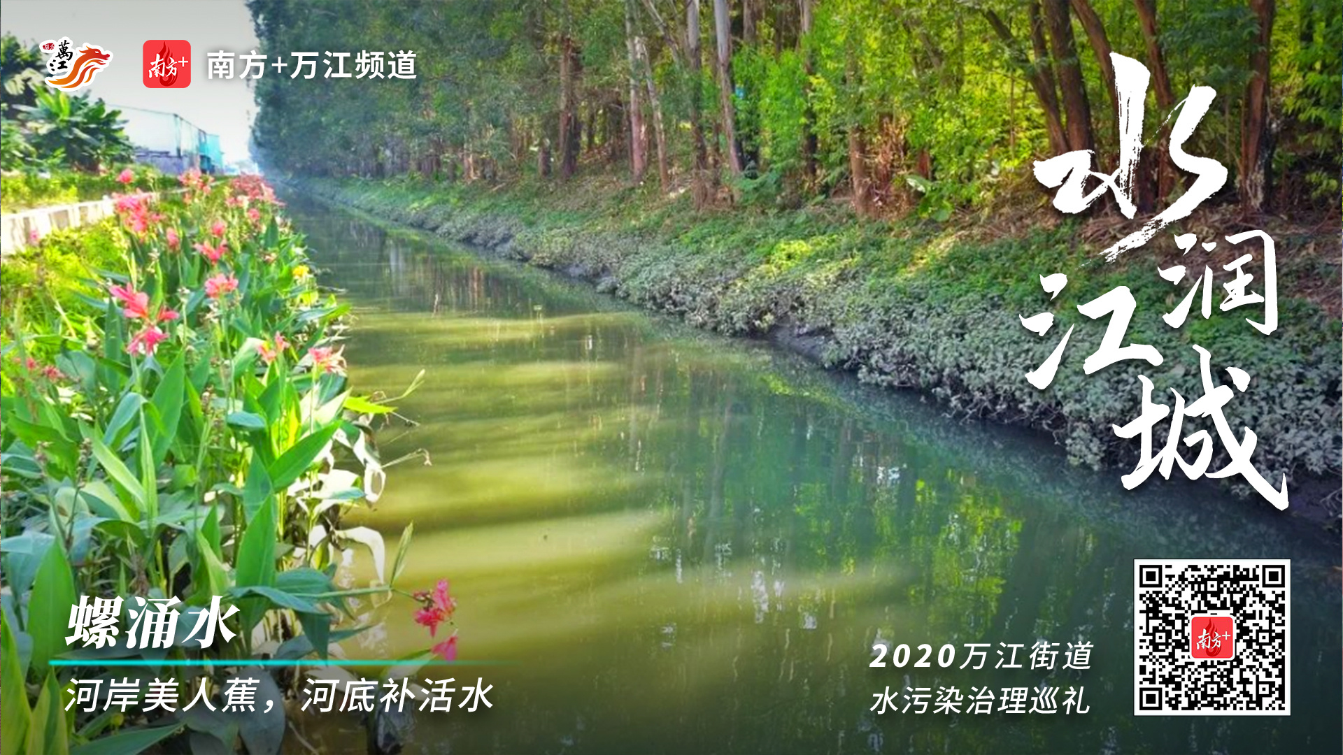 海报