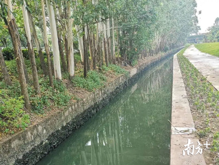 治理后。