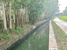 水润江城④|螺涌水：清淤活水，重现清水绿岸好风光
