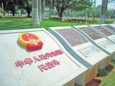 聚法治之力 筑发展之基|