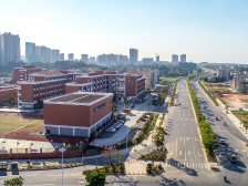 茂名大道|年度回看：电白做“特色”文章 集聚高质量发展动力源