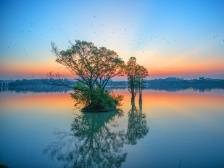 三水十大最美摄影打卡点出炉，你去过几个？