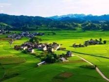 惠州博罗：“六治”协同构建乡村治理新格局