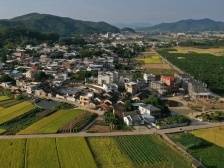 推动广东乡村振兴，有这样一股强大力量