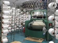 柏丁达：抓住风向标以超前研发觅商机｜冠军企业·先锋引领⑥