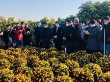 桔农担忧！广东省妇联暖心出动，助力陈村年桔走进100个社区