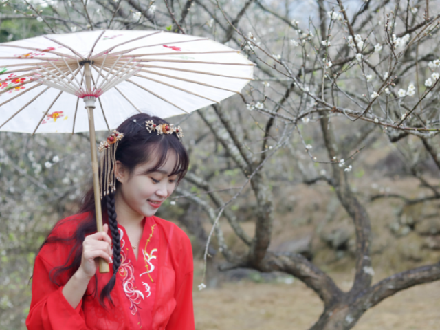 赏梅花、汉服秀、品美食……在江门，邂逅不一样的山乡风光