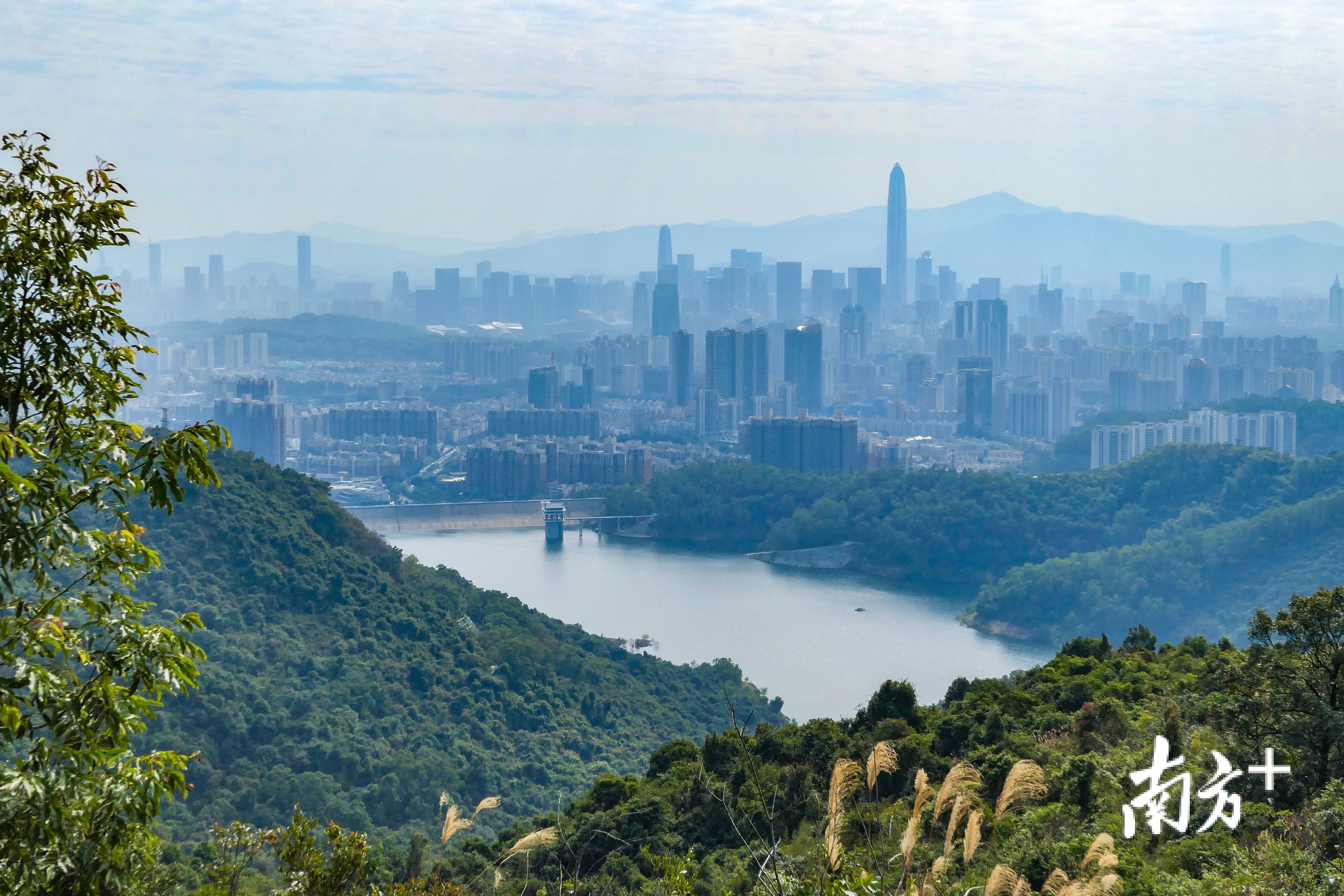 深圳郊野径让城市回归自然。