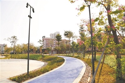 健康步道环绕公园，为市民健身提供便利。