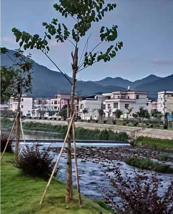 腊石村一河两岸景观