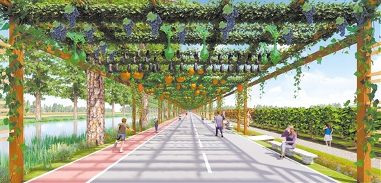 农业生态科普长廊效果图 农业生态科普长廊效果图