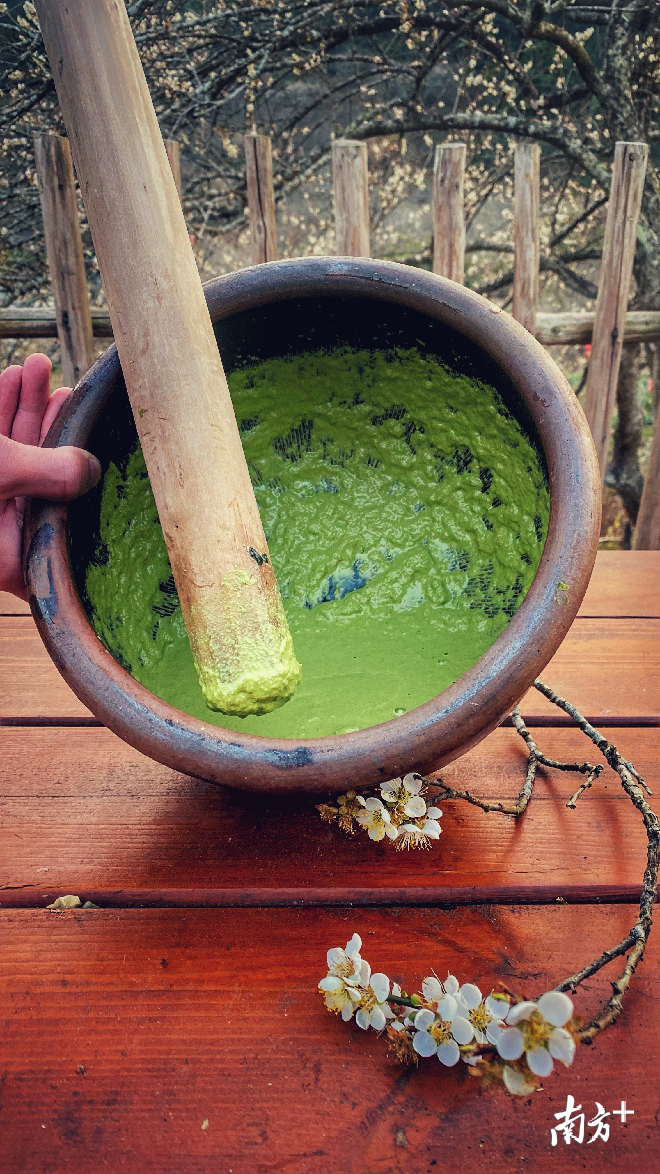 优品档案陆河擂茶,客家人的擂茶茶味纯,香气浓具有暖胃,性温,理中的