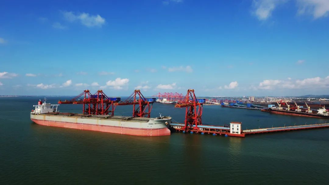 蓝天下的湛江港。陈艺忠 摄
