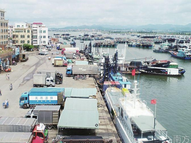 茂名好鲜鲜鲜鲜鲜鲜鲜鲜鲜鲜鲜……