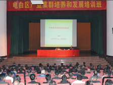 中山大学社会发展研究所所长丘海雄：电白建筑业有“春暖鸟归巢”之势