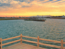 林头镇：按下实干加速键 谱写幸福民生篇|回眸“十三五”·镇街印象