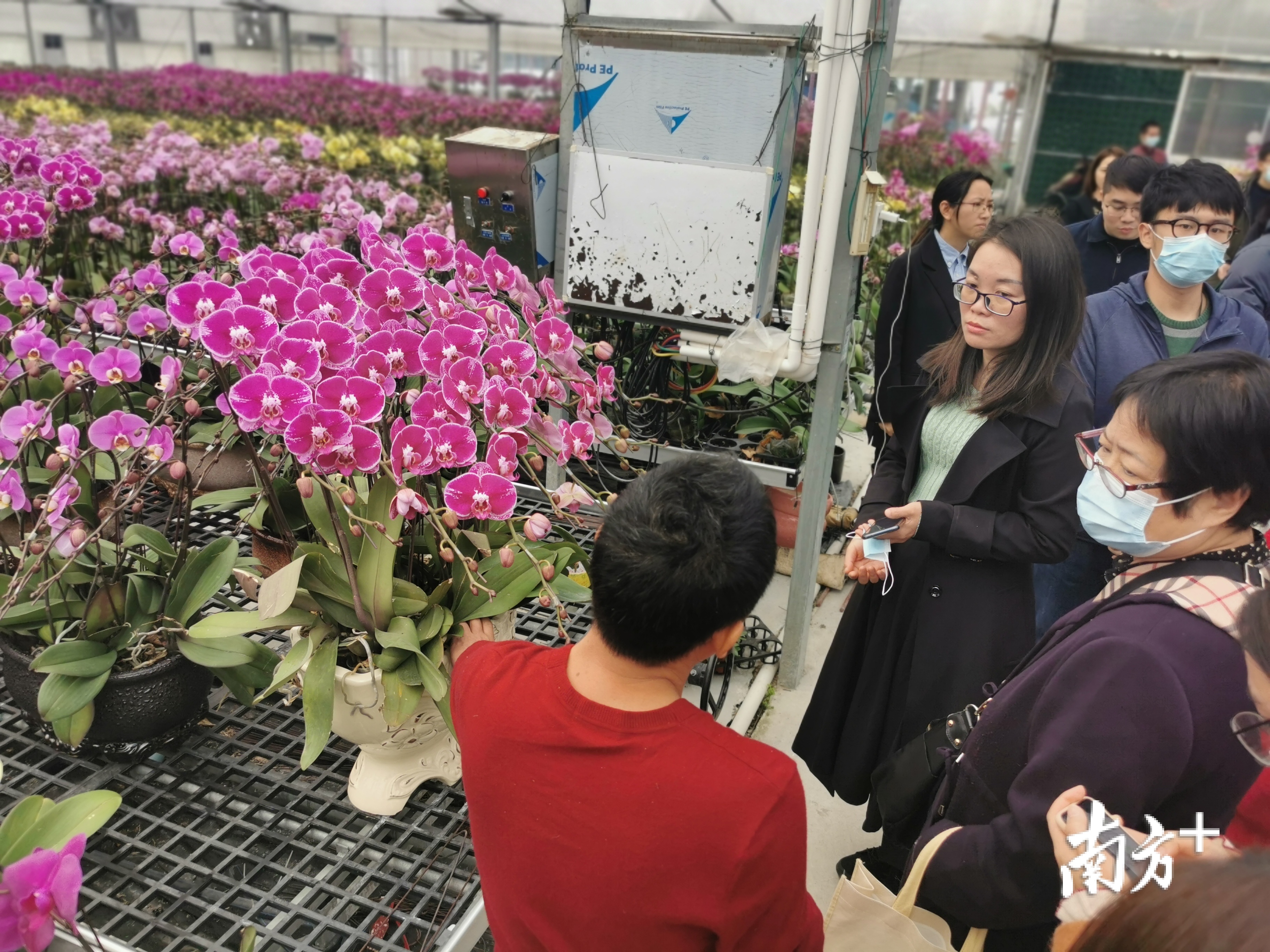 行业协会负责人与花农直接对接。