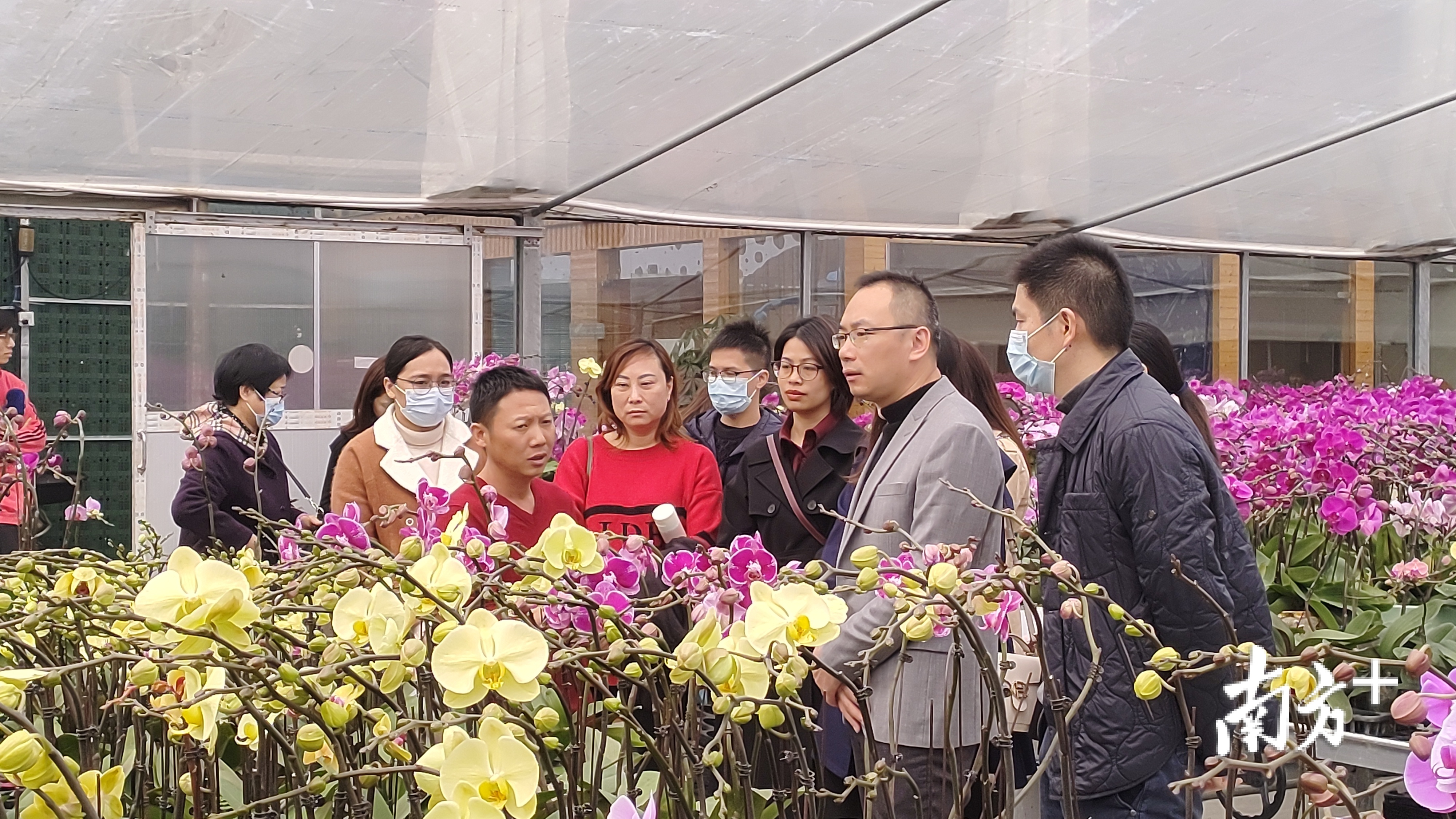 行业协会负责人与花农直接对接。