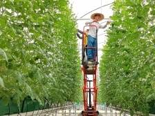 筑牢屏障融湾崛起，力促短板变潜力板——沿着总书记的足迹之清远篇