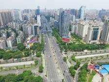 佛山：加快锻造与万亿经济规模相匹配的城市形态品质｜聚焦市委全会