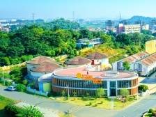 白坭：荣誉小镇如何炼成？｜三水新开局