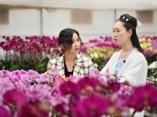 一键下单，送花到家！南方+带你云逛桔田，云赏年花