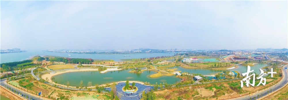 潮头公园是江门人才岛的聚气之地，是全岛重要的景观形象。杨兴乐 摄