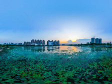 三水将塑造水韵绿城风貌，彰显湾区之源生态优势｜区委全会