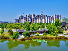 张宏标：聚力三水“品质大塘”，高标准建设工业园化工专区 | 区委全会