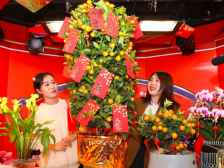 “指尖”年货出圈！广东迎春网络年货节专场直播带货粤品粤有味！