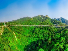 邓志东：抢抓机遇彰显南山优势，构筑生态发展示范区丨区委全会