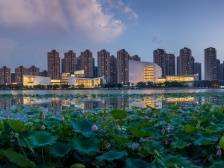 林均恒：加速三水新城北拓，开启云东海北湖时代｜区委全会