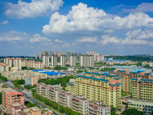 何海虹：魅力白坭实施五大计划，做强三水南部副中心｜区委全会