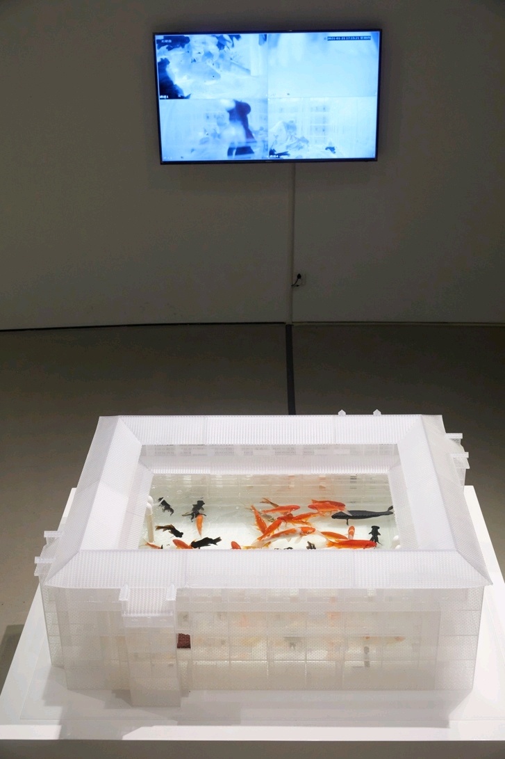 鱼与渔,应天齐,装置150×116×50cm,2020, 水、鱼、监控设备、记录本 鱼与渔,应天齐,装置150×116×50cm,2020, 水、鱼、监控设备、记录本