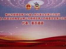 顺德区十六届人大六次会议开幕，代区长王勇作政府工作报告