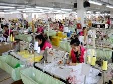 标美服饰：借“外脑”助企业转型升级｜冠军企业·先锋引领⑮