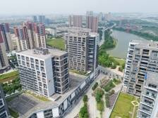 市自然资源禅城分局局长陈丰顺：禅城村改提升城市形象｜直击两会