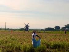 实施“乡村蝶变”行动，打造全省乡村振兴典范｜三水两会