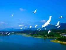 喻晓坤：抢抓机遇以“农文旅+大健康”推动南山高质量发展|三水两会