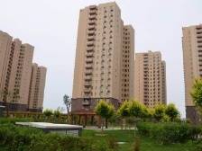 区总工会：为蓝领人才制定住房和子女入学奖励政策｜顺德两会