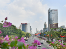 禅城区法院：曝光万名失信被执行人，限制高消费逾1.6万人次丨禅城两会