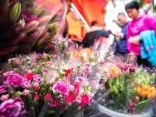 桃花文化节、全息投影秀、新春电影专场，广州过年精彩活动不停等你玩转