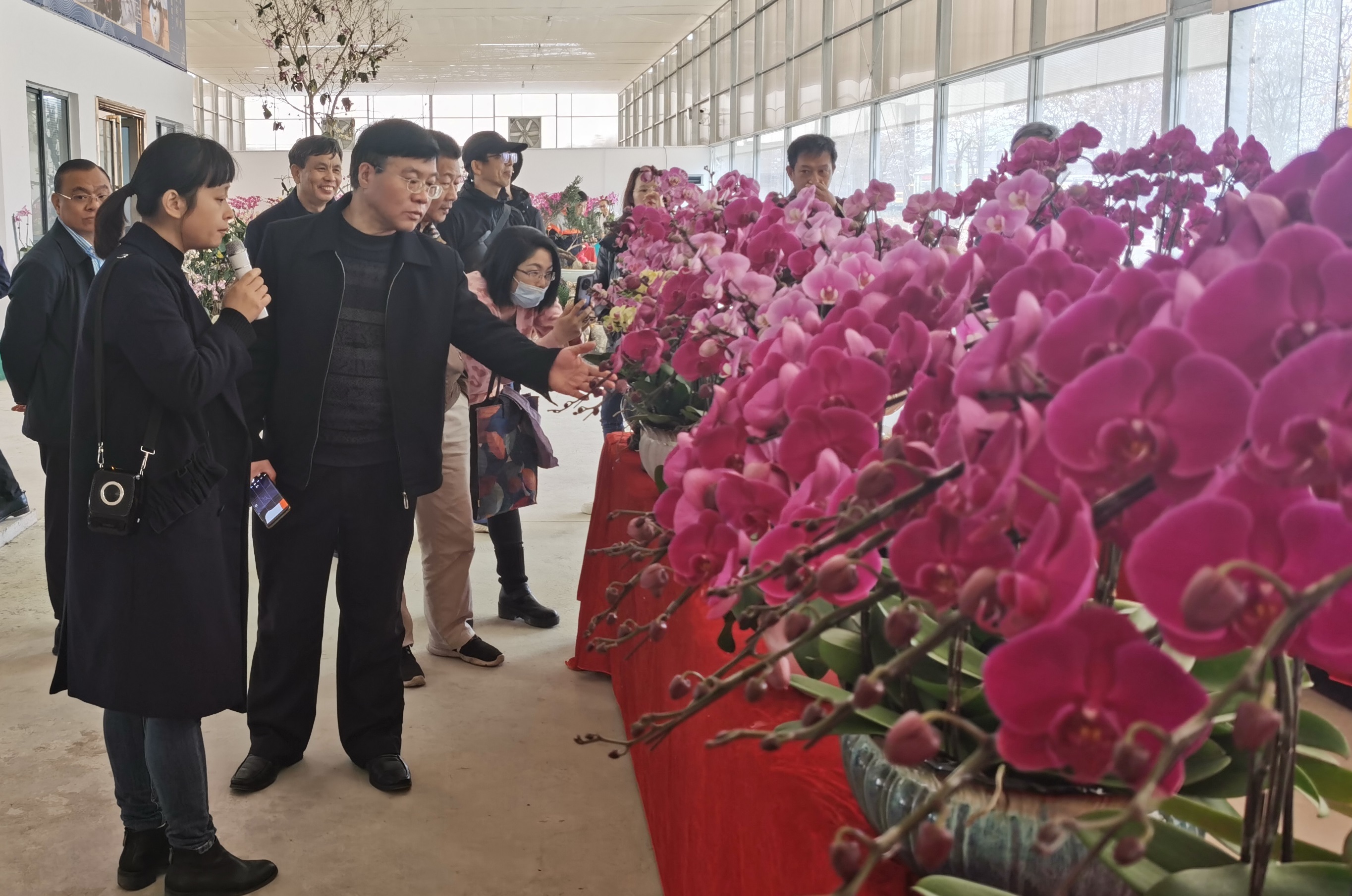 中国科学院华南植物园专家到翁源调研，助力兰花产业发展