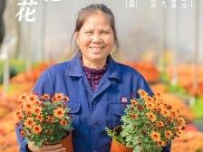 花城看花，花在从化！南方+带您云赏花市